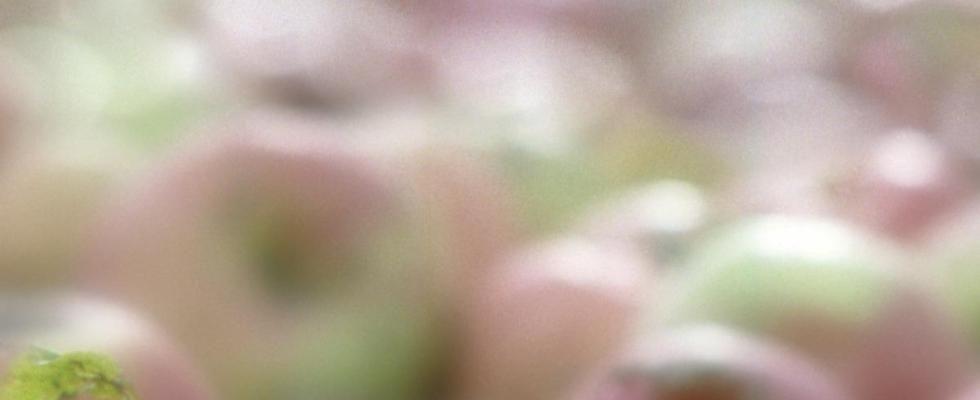 Вкус жизни. Андрей Павлушин