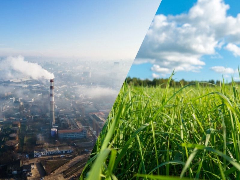 Где в Рязани дышать хорошо? Эксперты назвали район для жизни с самой экологичной обстановкой