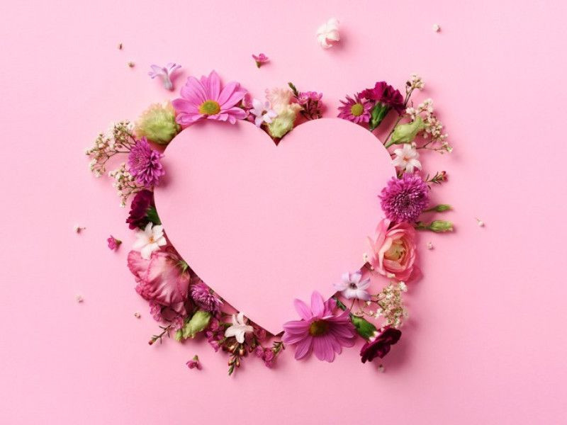 Полмиллиарда алых роз: РСХБ прогнозирует расцвет российского цветоводства