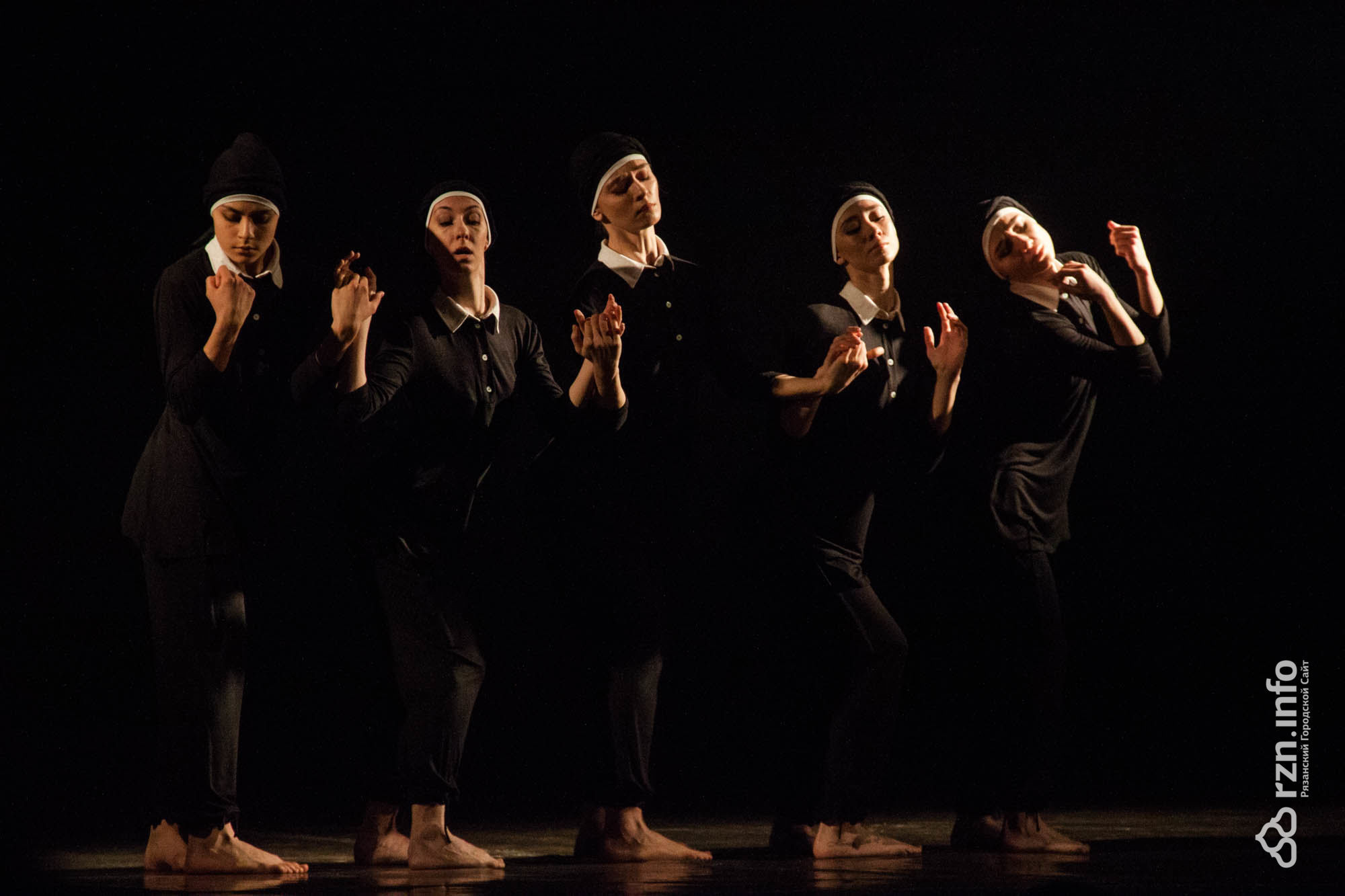 танец черный кот. котик танцует. черный кот фестиваль танца рязань. танец черный кот. танцы рязань.