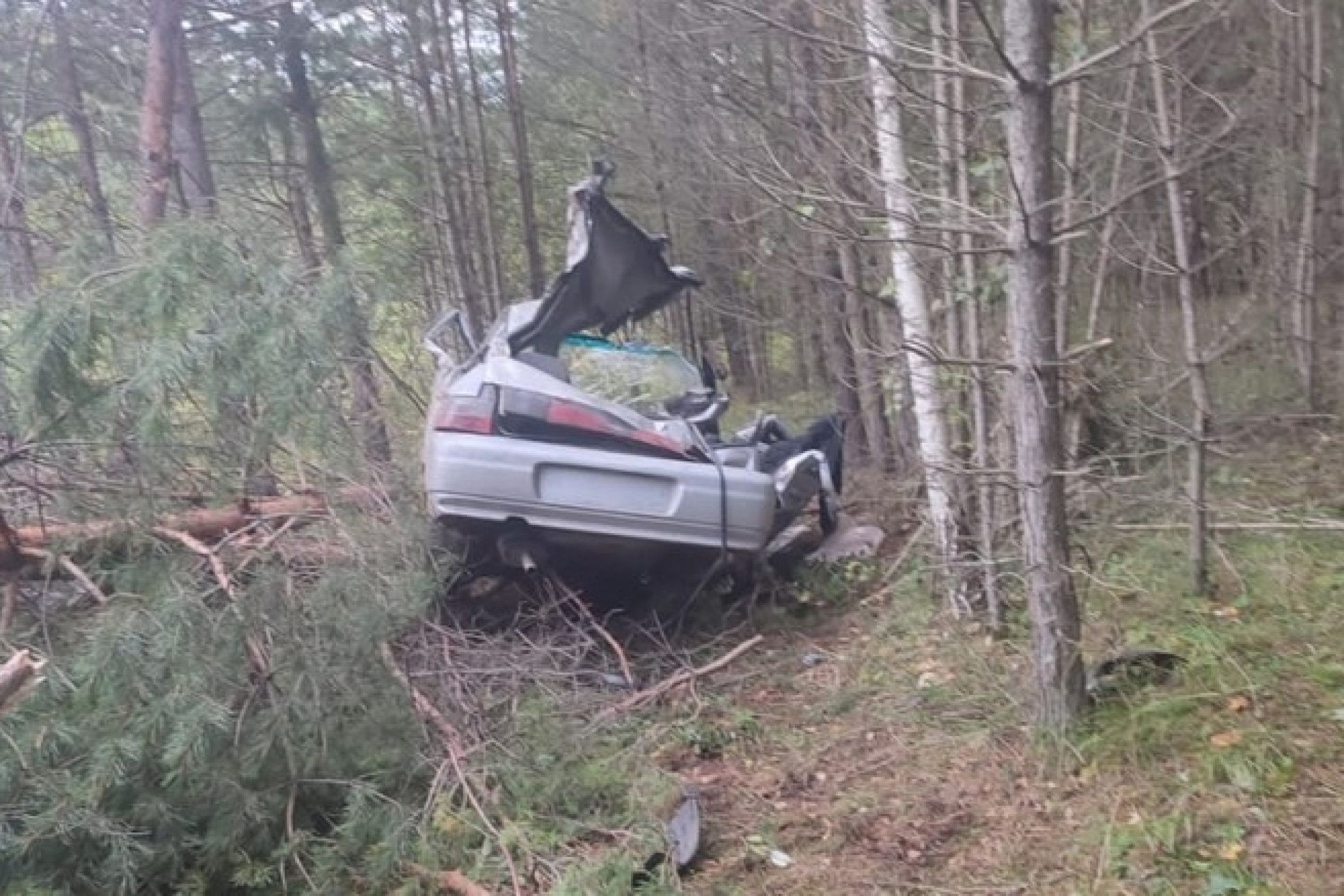 Дтп тавда. Дтп тавда. Машина врезалась в дерево. Дтп тавда. Дтп тавда.