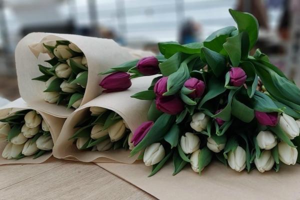 В Рязанском округе выращивают 50 сортов тюльпанов, которые поставляют в Москву и Тулу