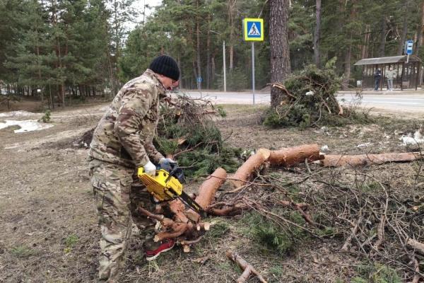 В Рязани начали убирать поваленные деревья вдоль Солотчинского шоссе