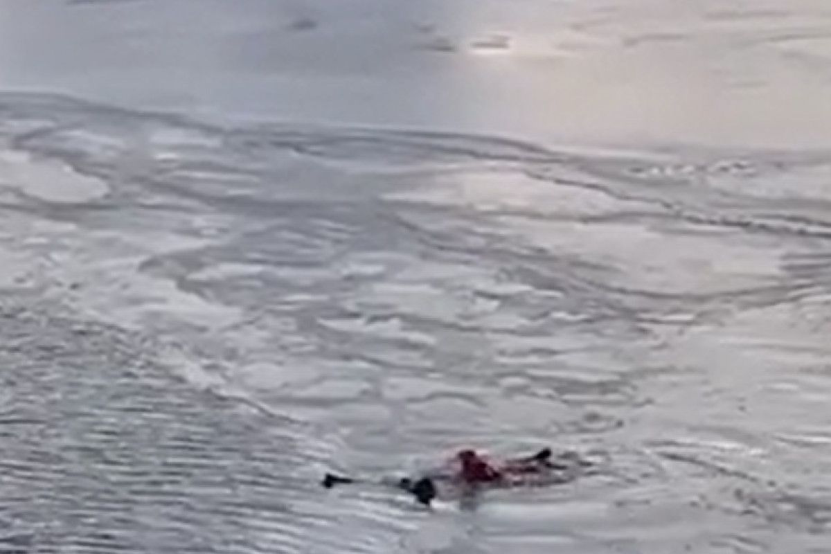 Провалилась под лед фотосессия. Где девушка проваливается под лед. Ребенок провалился под лед. Женщина провалилась под лед. Где девушка проваливается под лед.