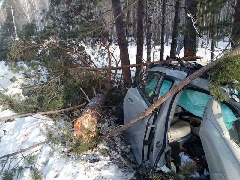 В Тюменской области «Порше» опрокинулся в кювет, погибла женщина и собака В Тюменской области «Порше» опрокинулся в кювет, погибла женщина и собака