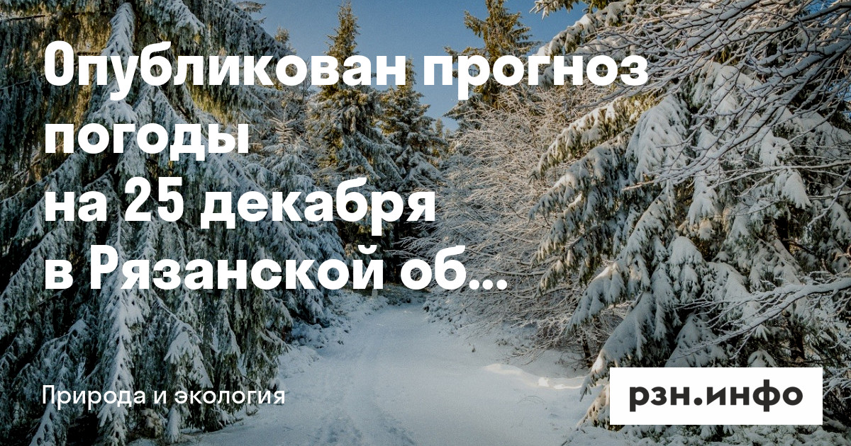 Опубликован прогноз погоды на 25 декабря в Рязанской области — Новости ...