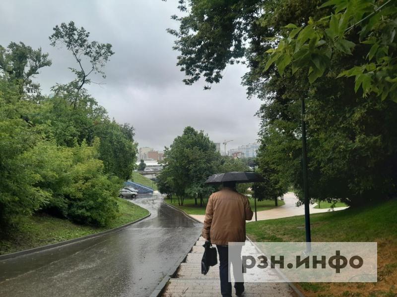 Август в Рязанской области начнется с дождей