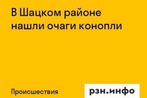 В Шацком районе нашли очаги конопли