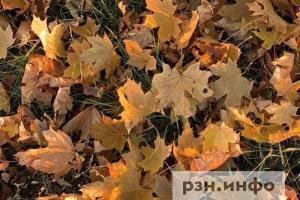 Синоптики рассказали, какой будет осень 2025 года
