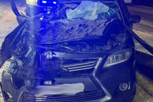 В Рязанской области в ДТП пострадали четверо детей и один взрослый