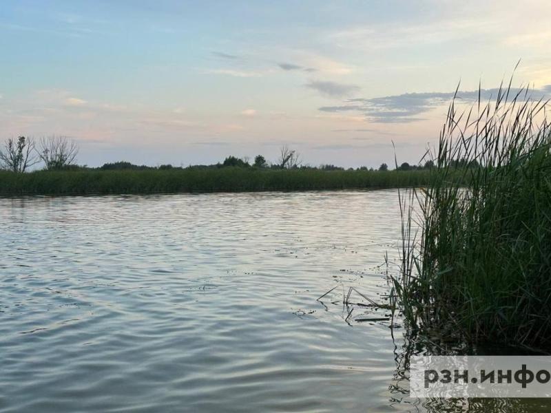 В Рязанской области утонул подросток, следком начал проверку