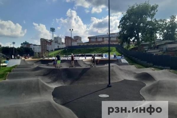 Рязанцы пожаловались на нашествие ос