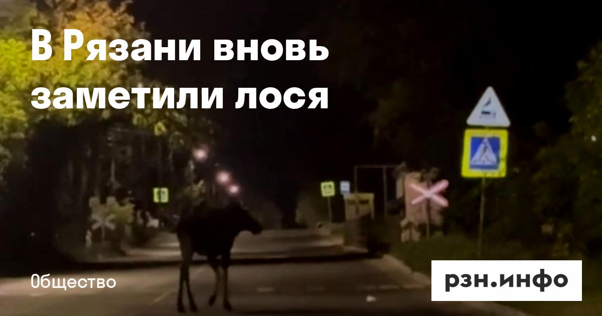 Индивидуалки В Рязани Дашково Песочня