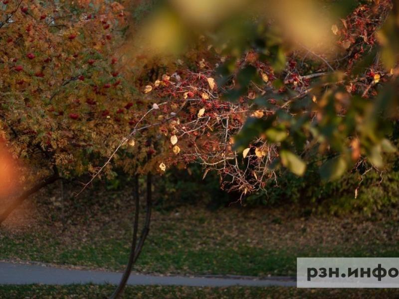 Рязанцам рассказали о погоде 27 сентября