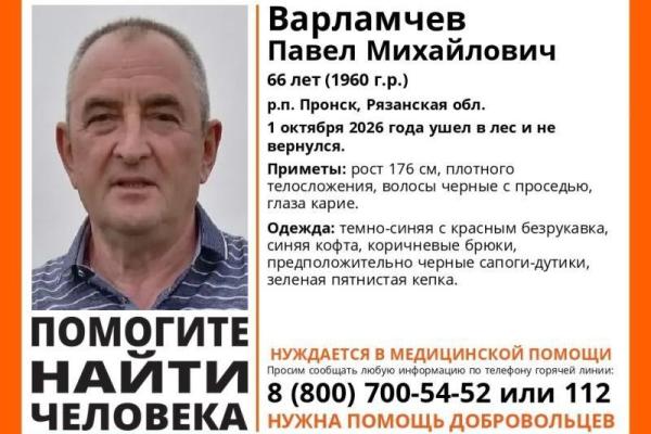 В Рязанской области начали поиски 66-летнего жителя Пронска