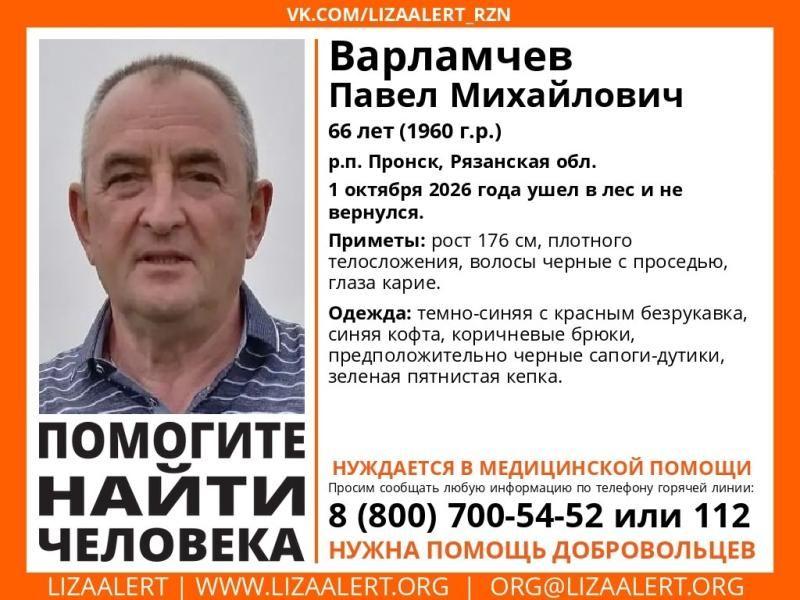 В Рязанской области начали поиски 66-летнего жителя Пронска
