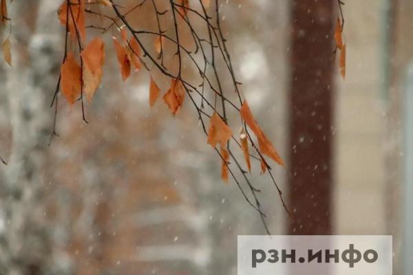В Рязанской области зафиксировали первые заморозки