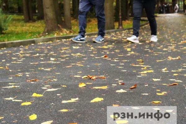 Опубликован прогноз погоды на 11 октября в Рязанской области