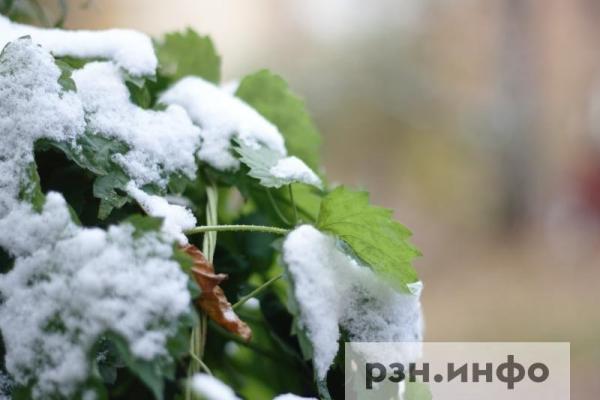 Ученые заявили, что предзимье с мокрым снегом в Рязанской области откладывается
