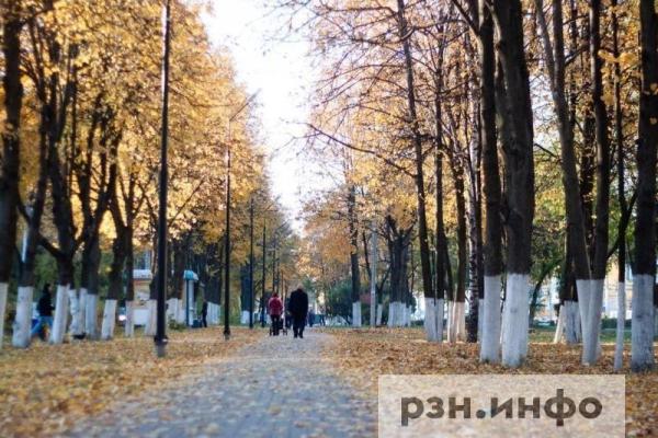 Рязанцам назвали парк с самым чистым воздухом