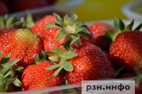 В Рязанской области стали больше выращивать тепличных овощей