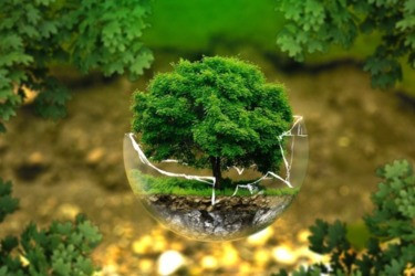 «Русская кожа» представила экологические проекты производства