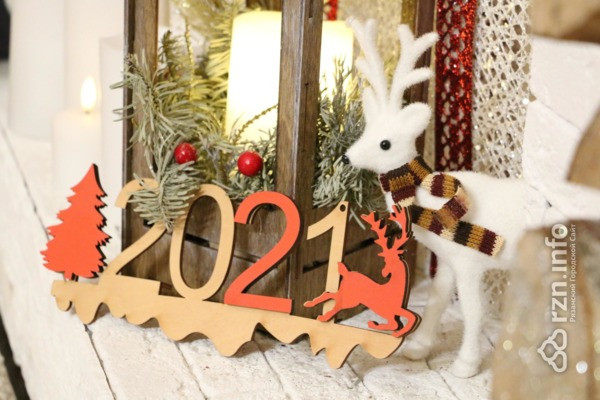 Праздник на дом: как рязанцы смогут отметить Новый год в условиях пандемии