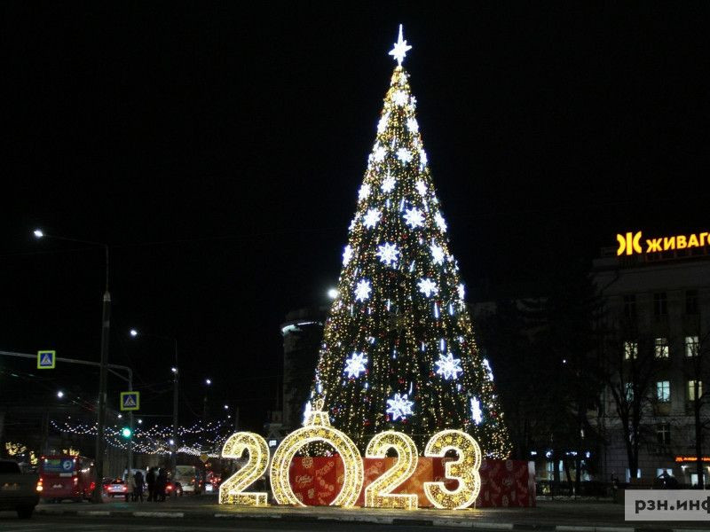 Как провести новогодние праздники в Рязани — список мероприятий